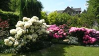 Sitzecke im Garten